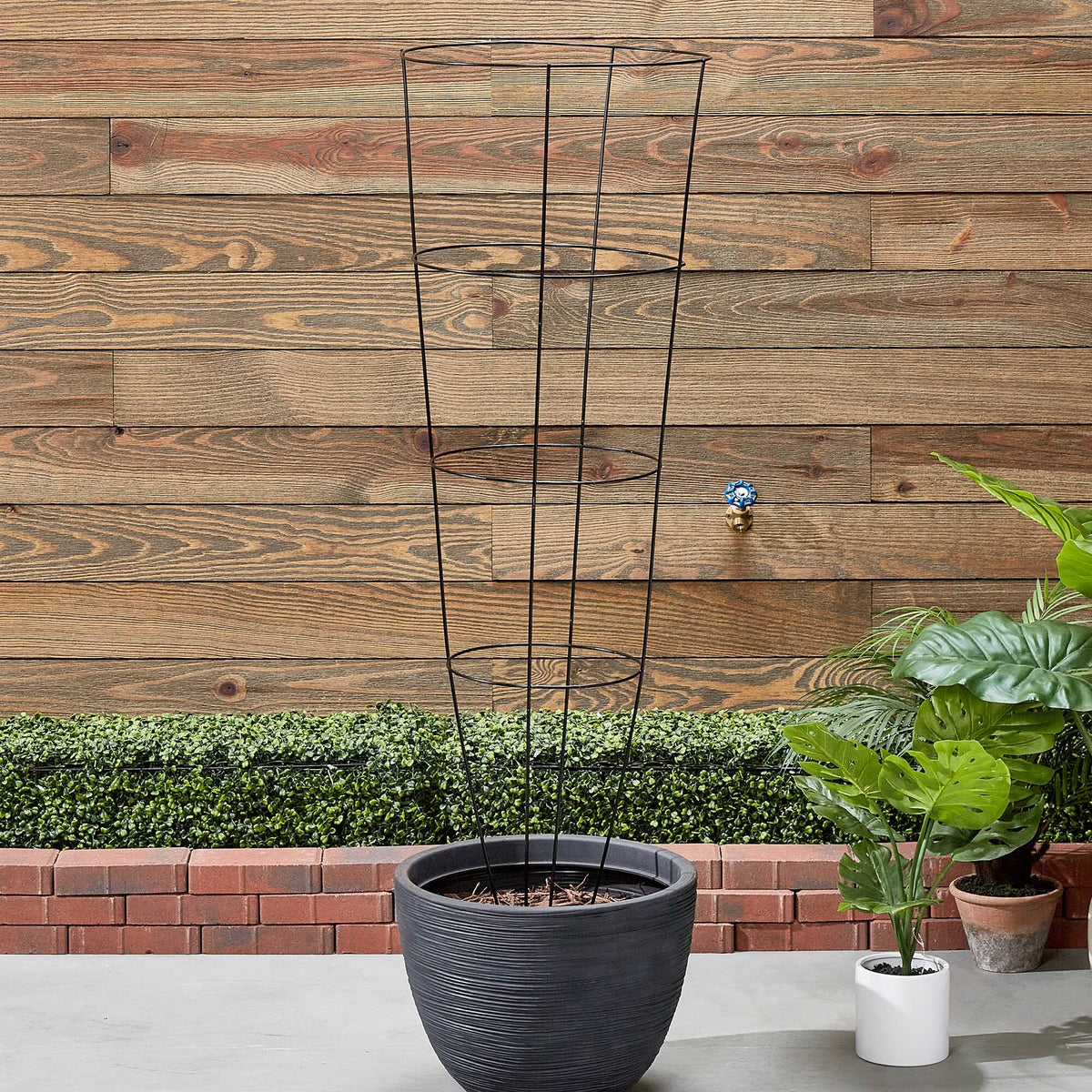 54 x 16 in. Heavy Duty Tomato Cage Black - Pack of 30 Z7442