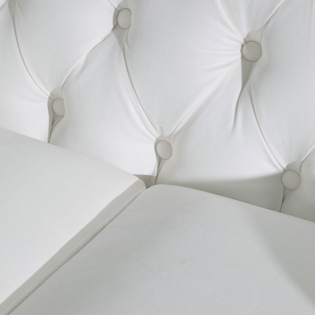 White Velvet Upholstered Loveseat Sofa with Button Tufted Design and Metal Legs B910