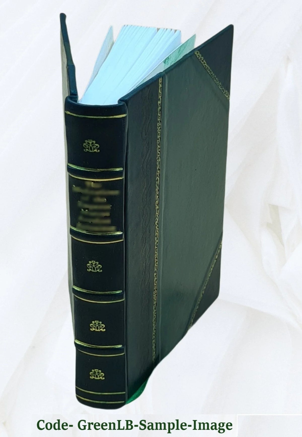 Leather Bound Book L777945
