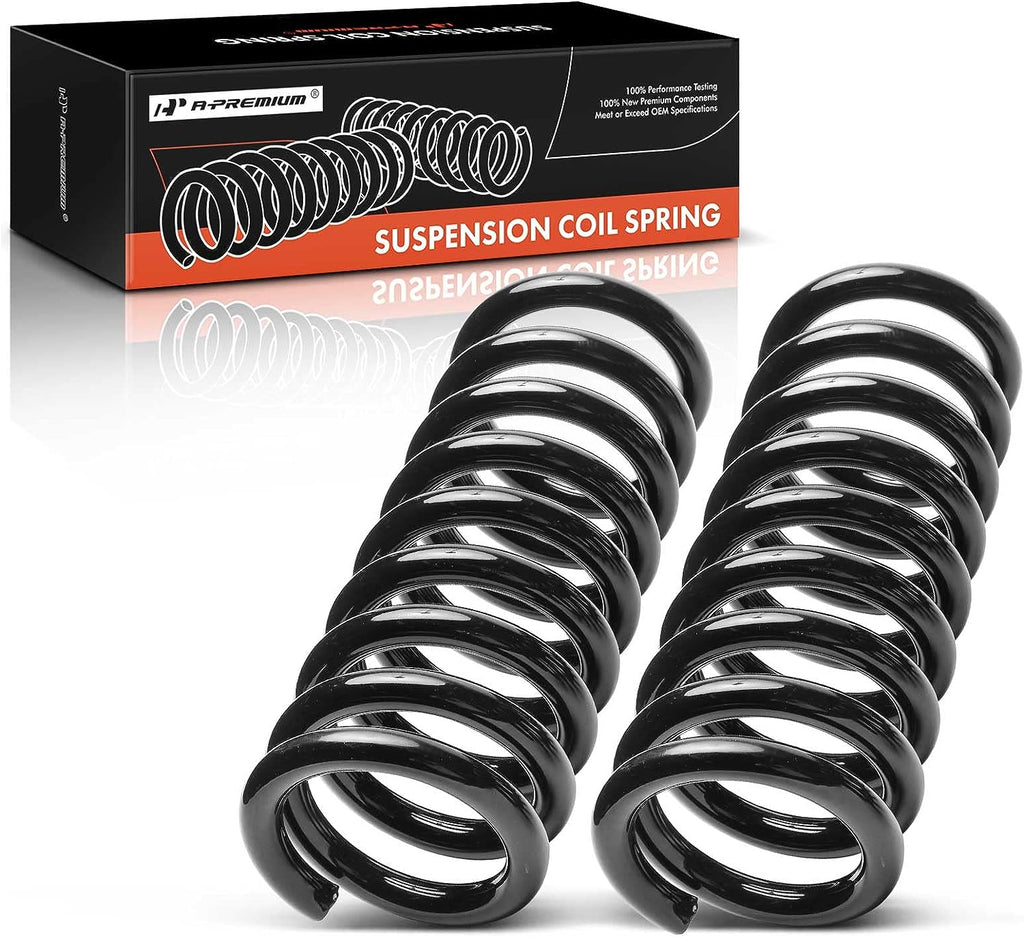 2Pcs Rear Left and Right Suspension Coil Spring Set M548135