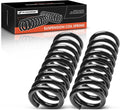 2Pcs Rear Left and Right Suspension Coil Spring Set M548135