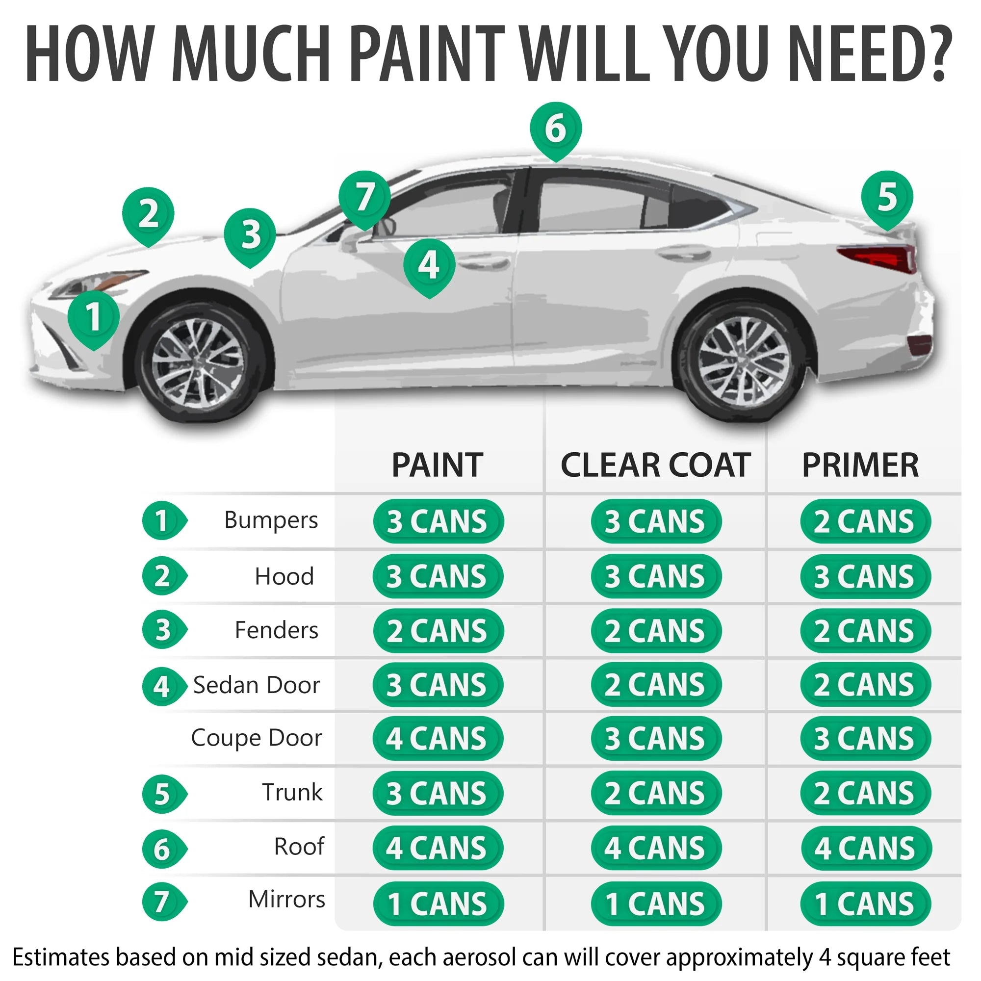 Shadow Mica Automotive Touch Up Paint Spray Basic Kit Q142