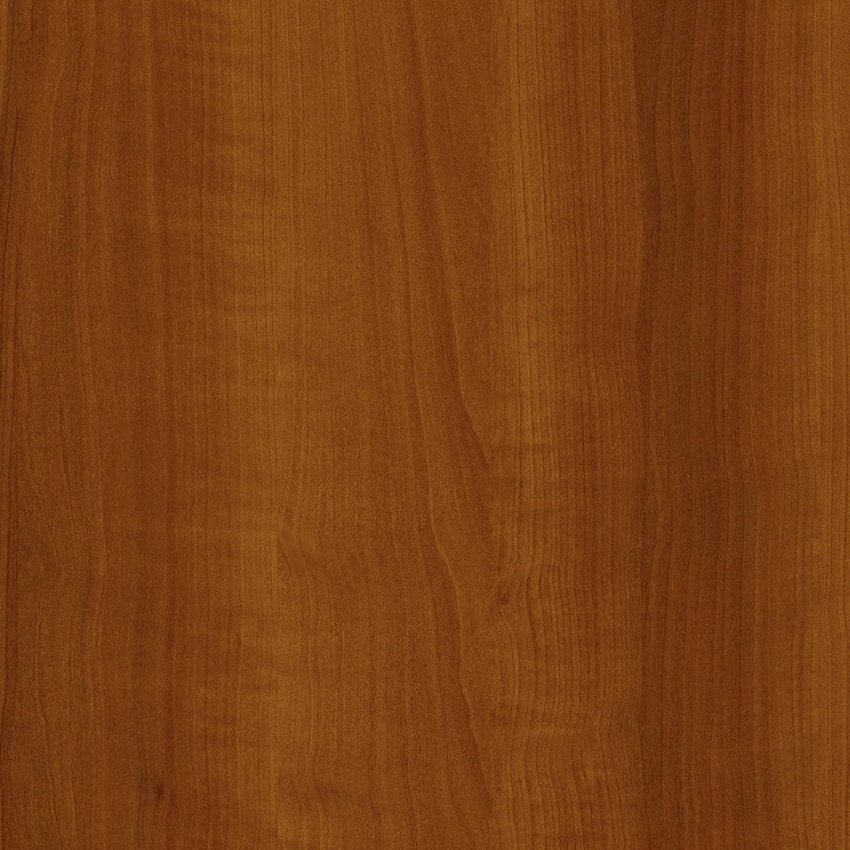 2-Door Storage Cabinet Q7855