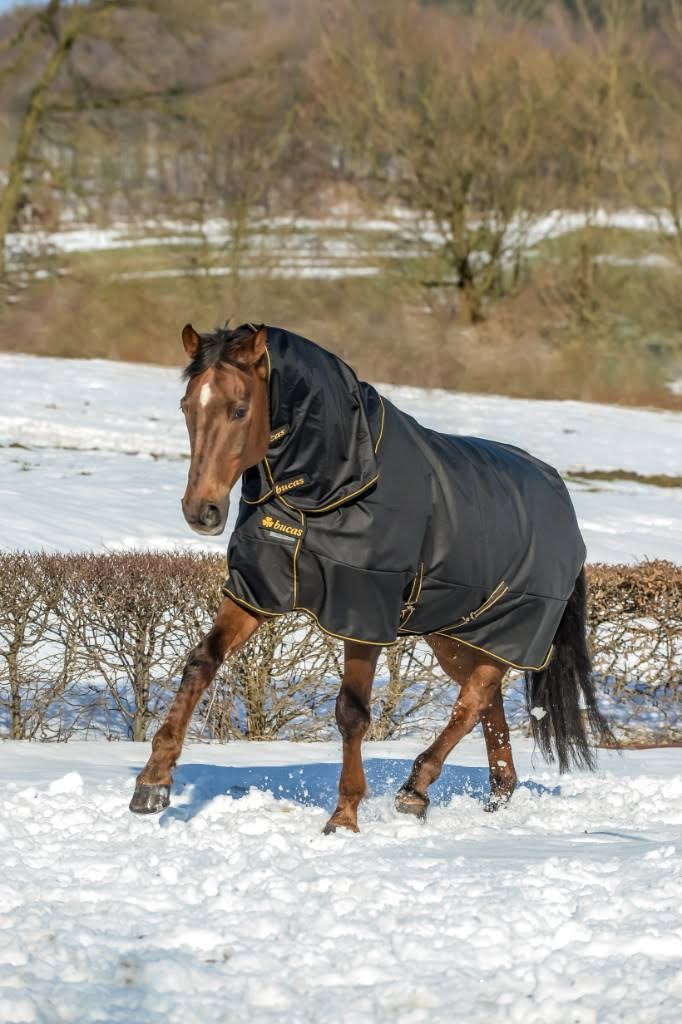 Black Irish Turnout Extra J704