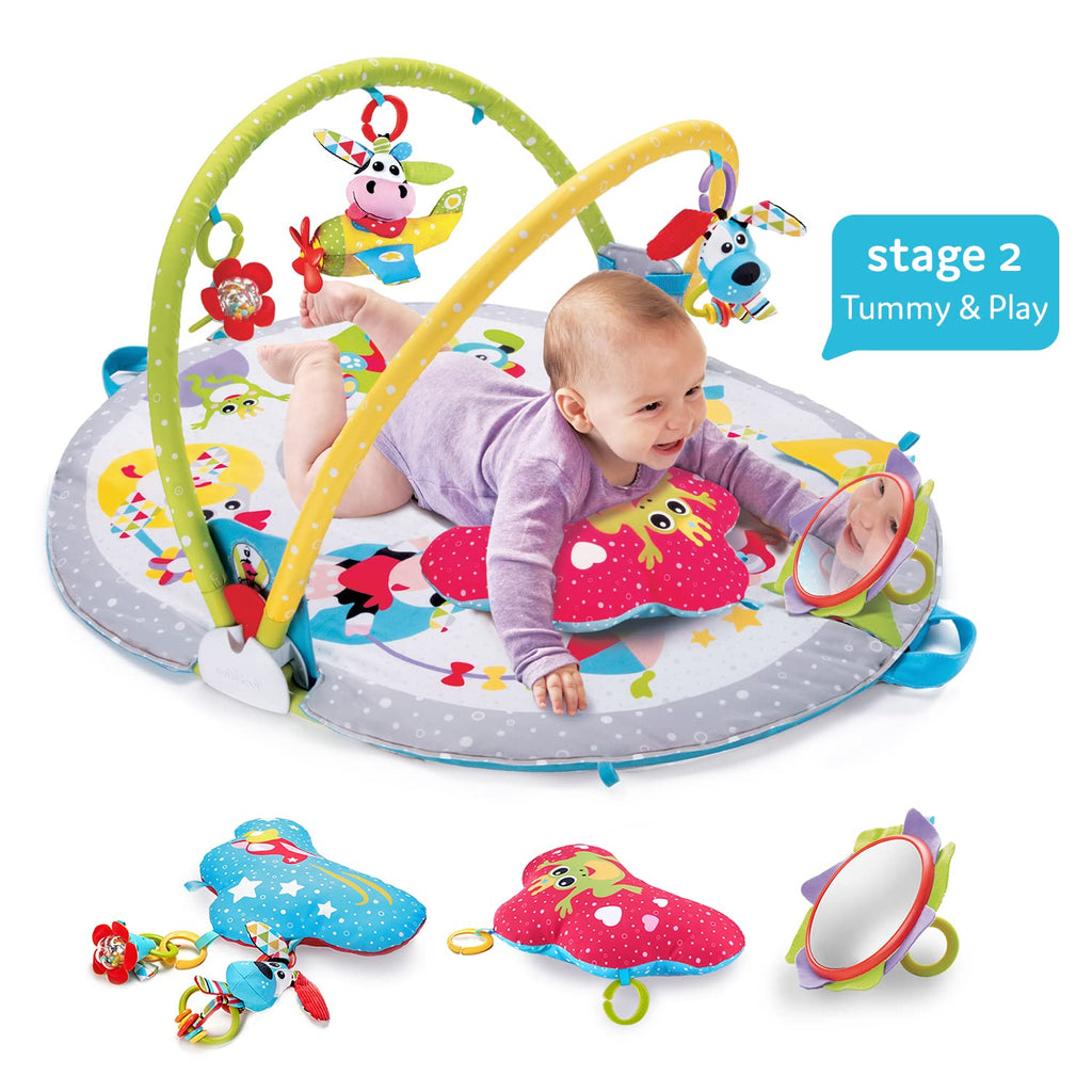 3-in-1 Baby Play Mat Activity Center C829