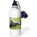 21 oz Sports Water Bottle Y235