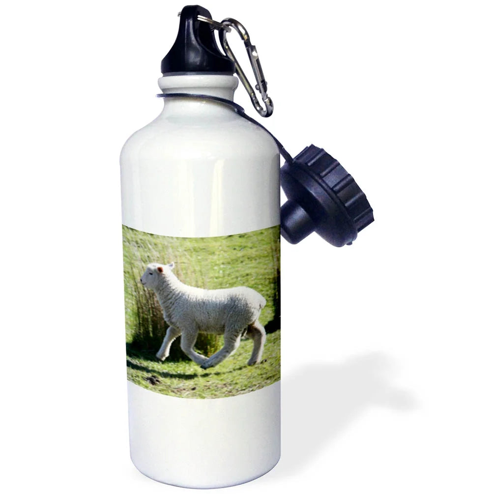 21 oz Sports Water Bottle Y235