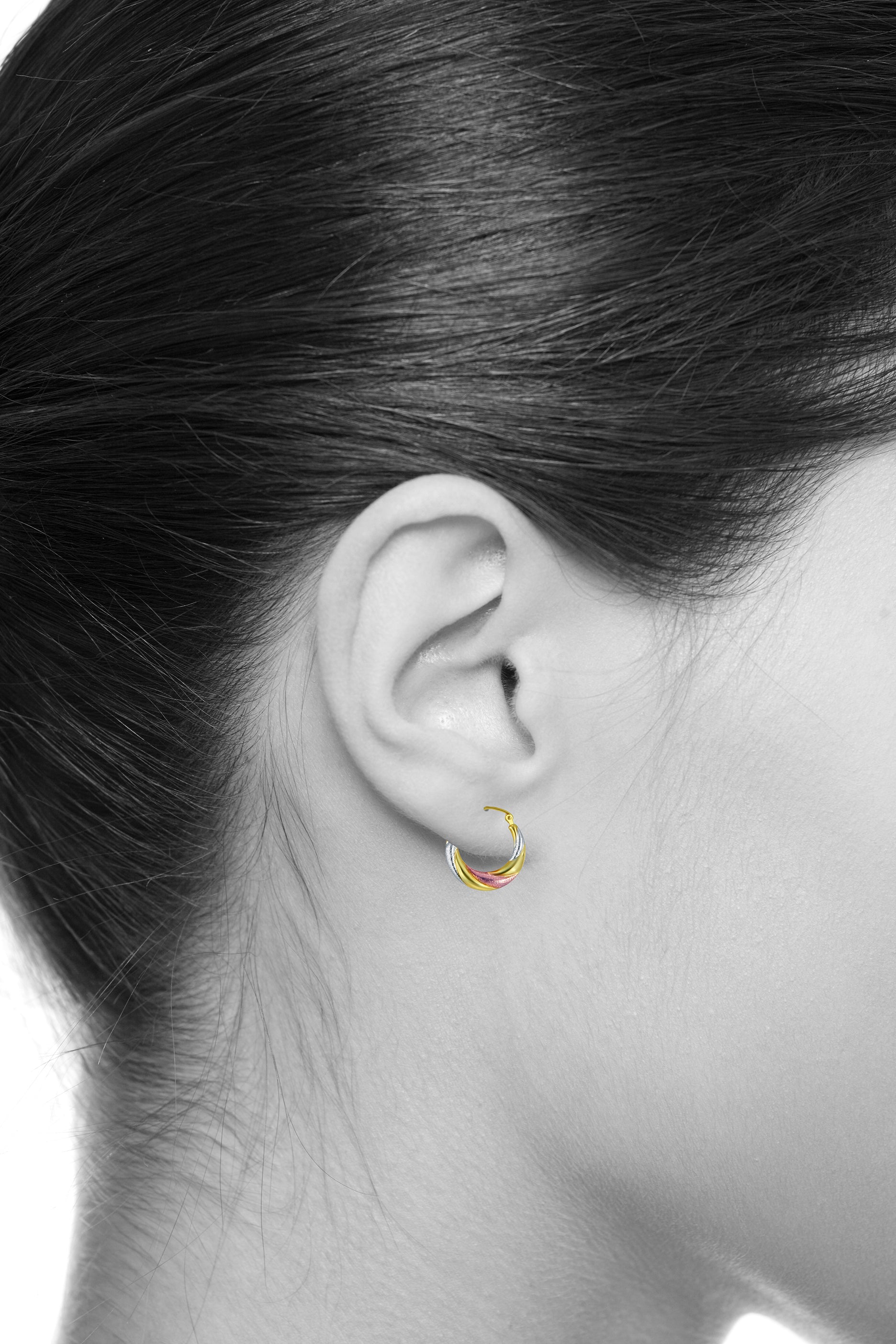 14k Tri 3 Color Gold Polished Diamond Cut Satin Twisted Hoop Earrings (20 x 20mm) E1460