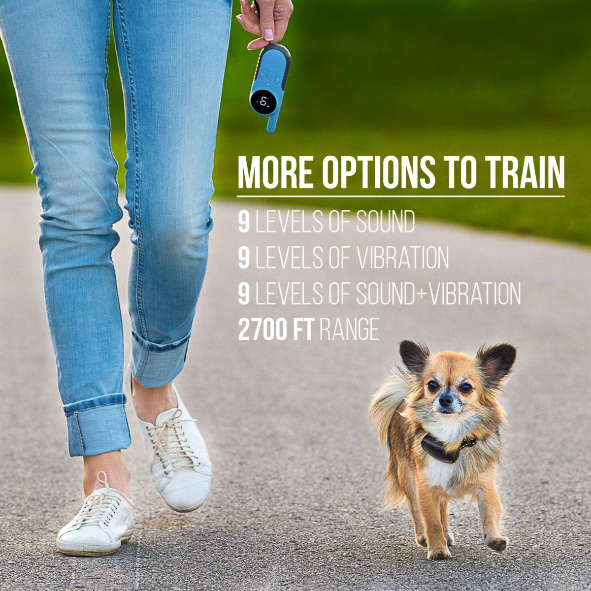 Dog Remote Collar Pack of 2 Q138