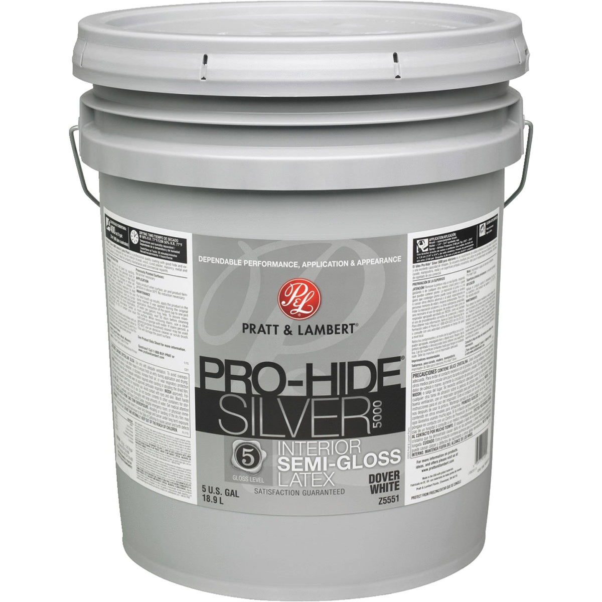 Silver Semi-Gloss Latex Interior Paint J564