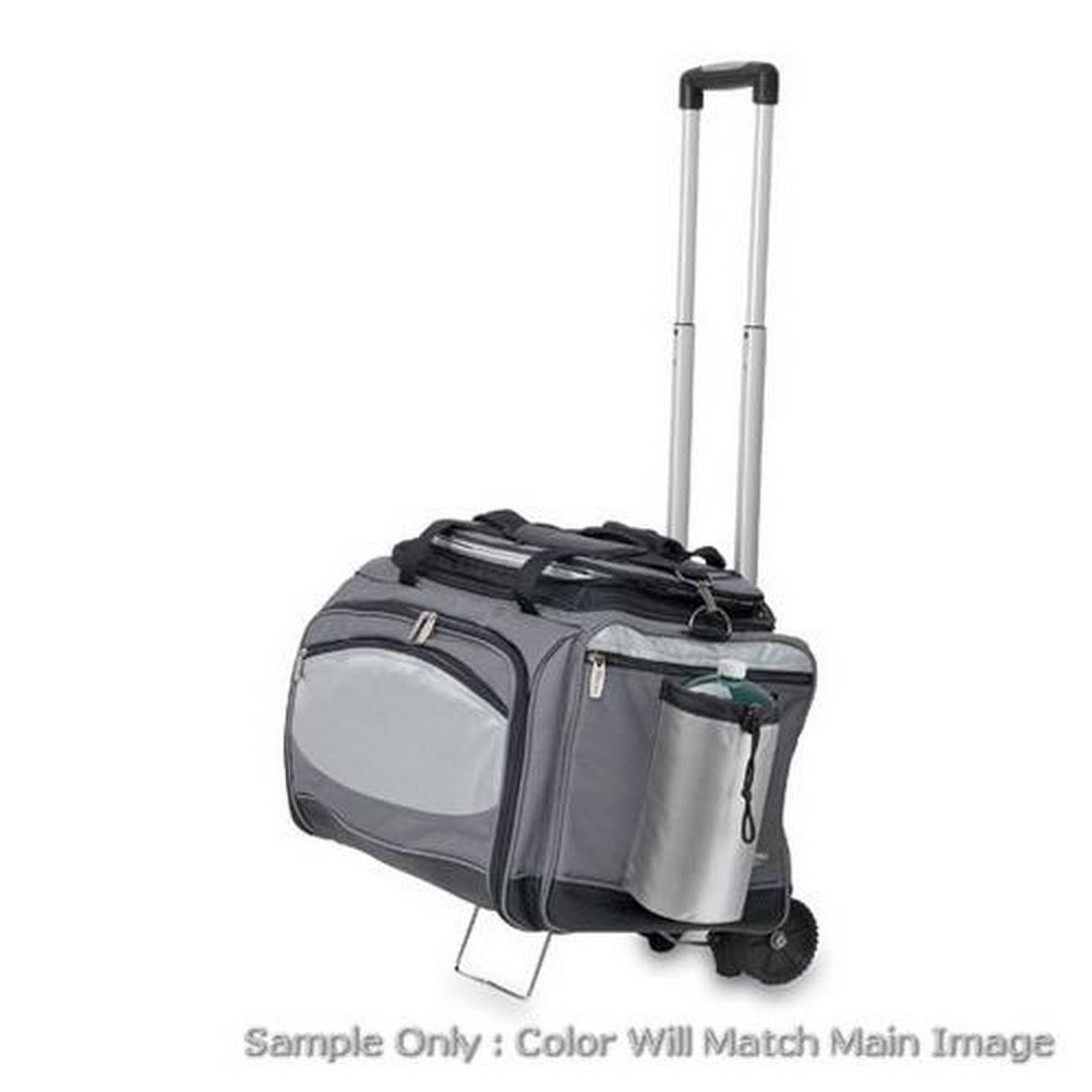 Vulcan Cooler and Propane Grill G295639