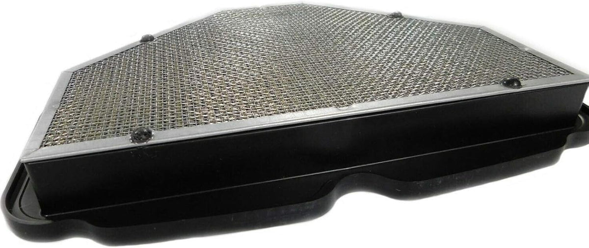 Air Cleaner Element Pack of 2 O579