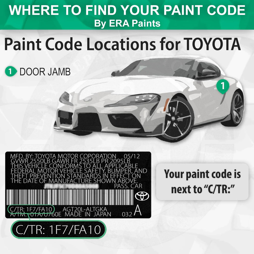 Shadow Mica Automotive Touch Up Paint Spray Basic Kit Q142