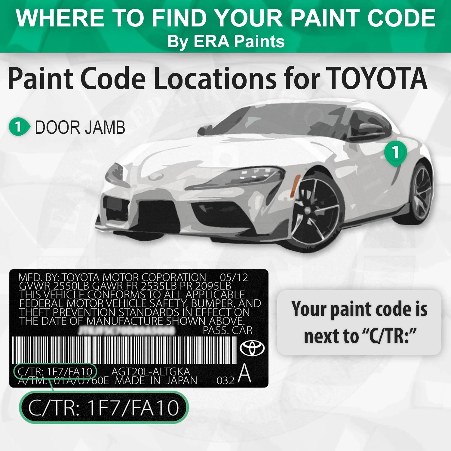 Shadow Mica Automotive Touch Up Paint Spray Basic Kit Q142
