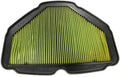Air Cleaner Element Pack of 2 O579