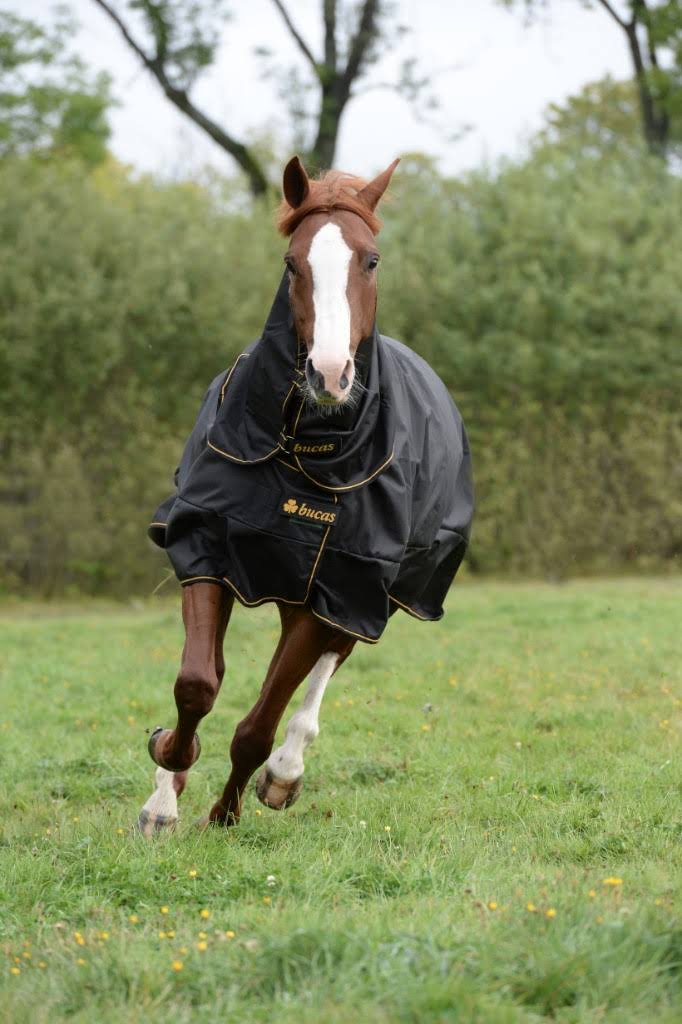 Black Irish Turnout Extra J704