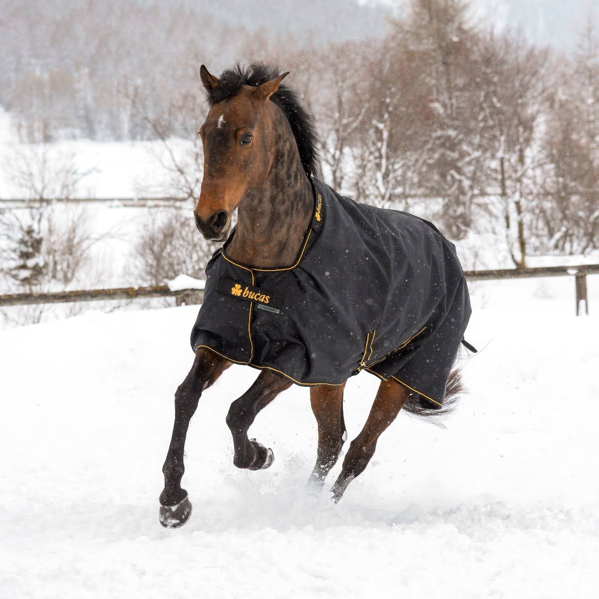Black Irish Turnout Extra J704