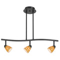 3 Light Serpentine Track Lighting C44476