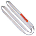 12x22 x 4& Endless Polyester Web Sling O501629