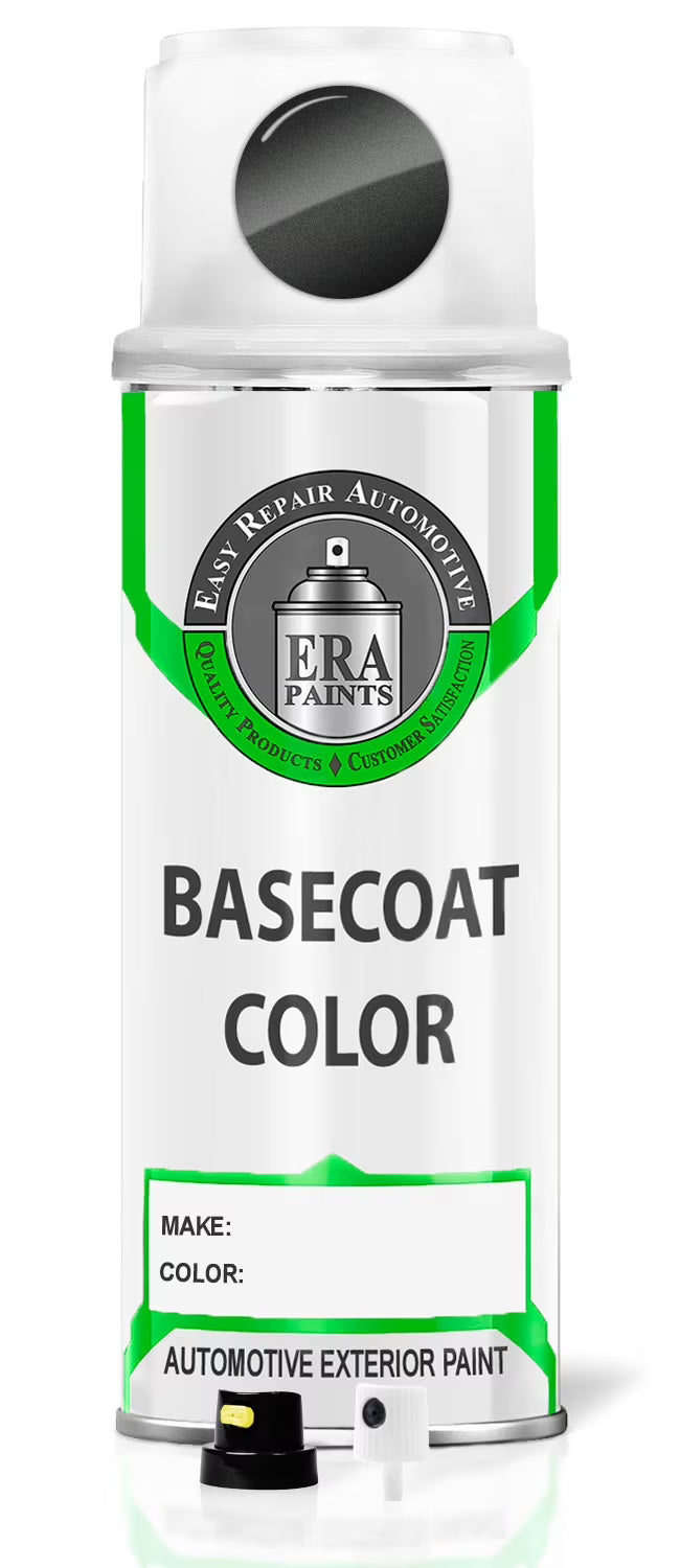 Shadow Mica Automotive Touch Up Paint Spray Basic Kit Q142