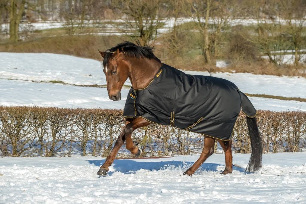 Black Irish Turnout Extra J704