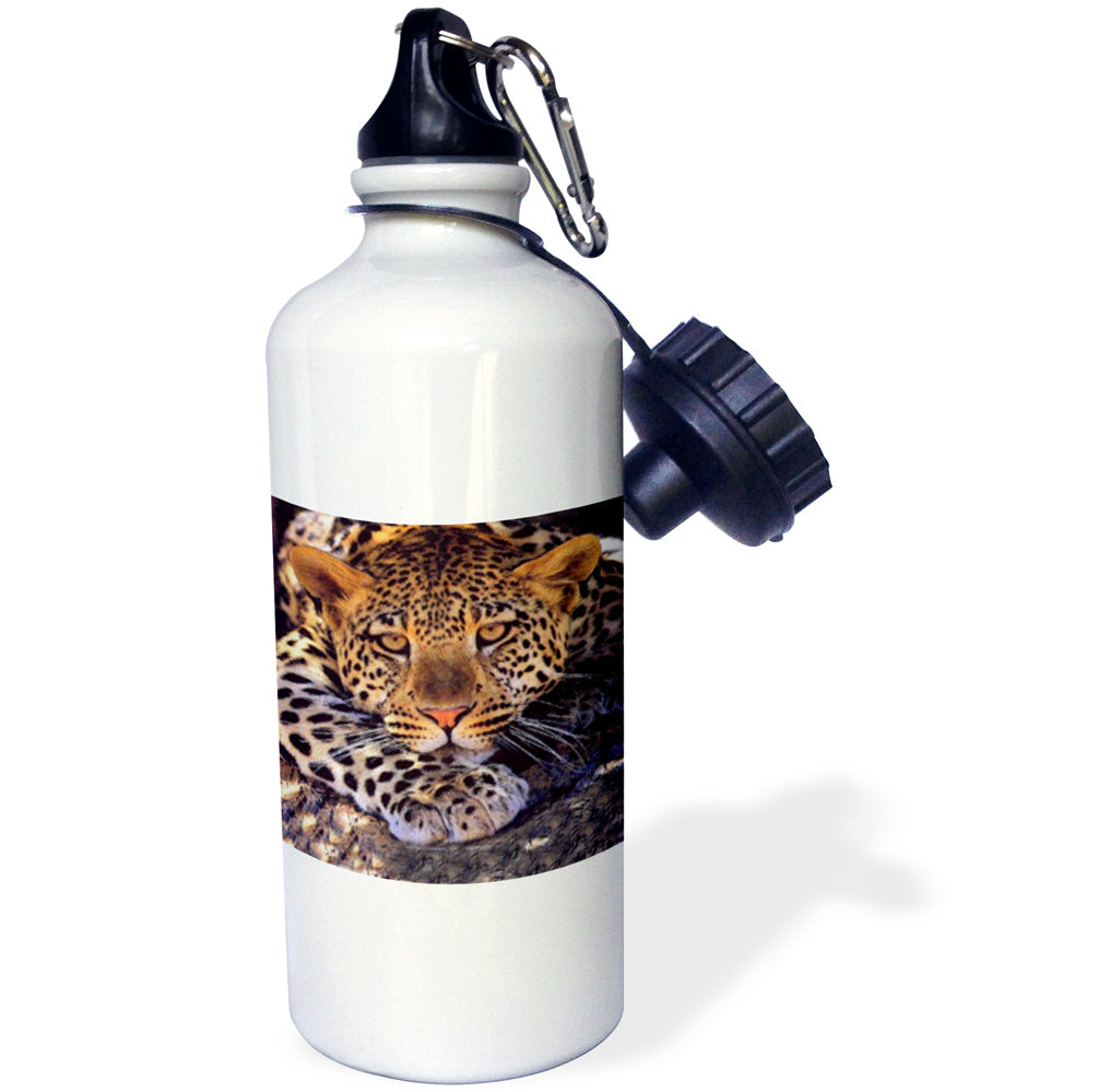 Leopard 21 oz Sports Water Bottle V437435