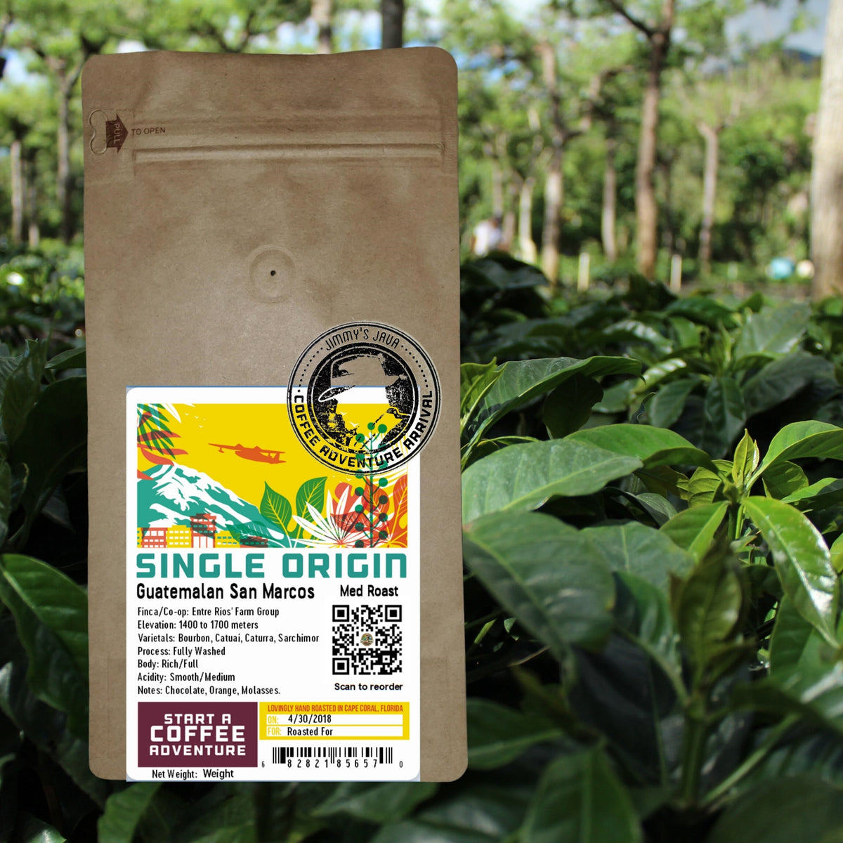 Medium Roast Guatemalan SHB San Marcos Coffee V7514
