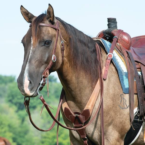 Rough Out Oiled Canyon Rose Pulling Breast Collar R55579
