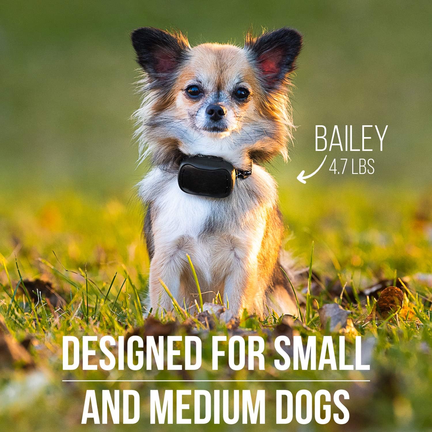 Dog Remote Collar Pack of 2 Q138