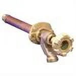 Anti-Siphon Freezeless Wall Hydrant A405706