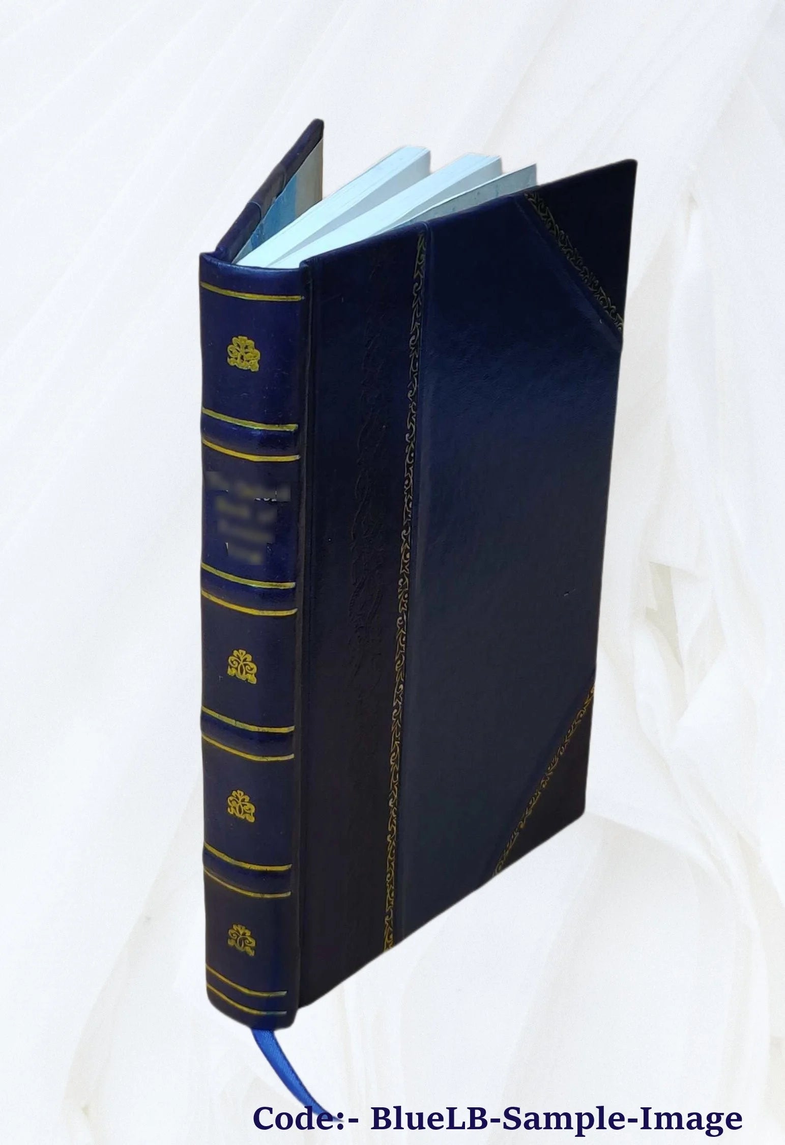 Leather Bound Book L777945