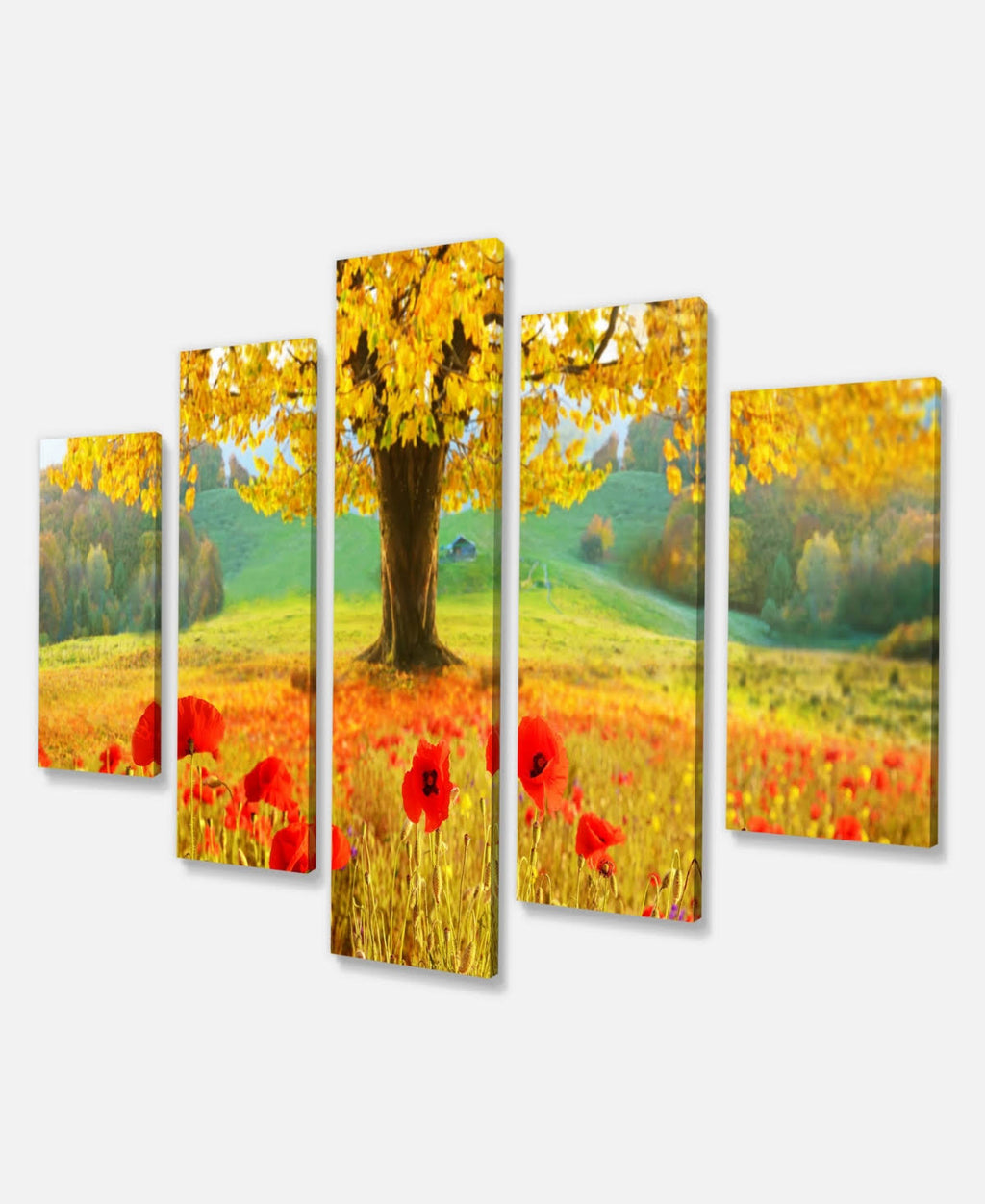 Modern Floral Canvas Art - 60x32 5 Panels T304