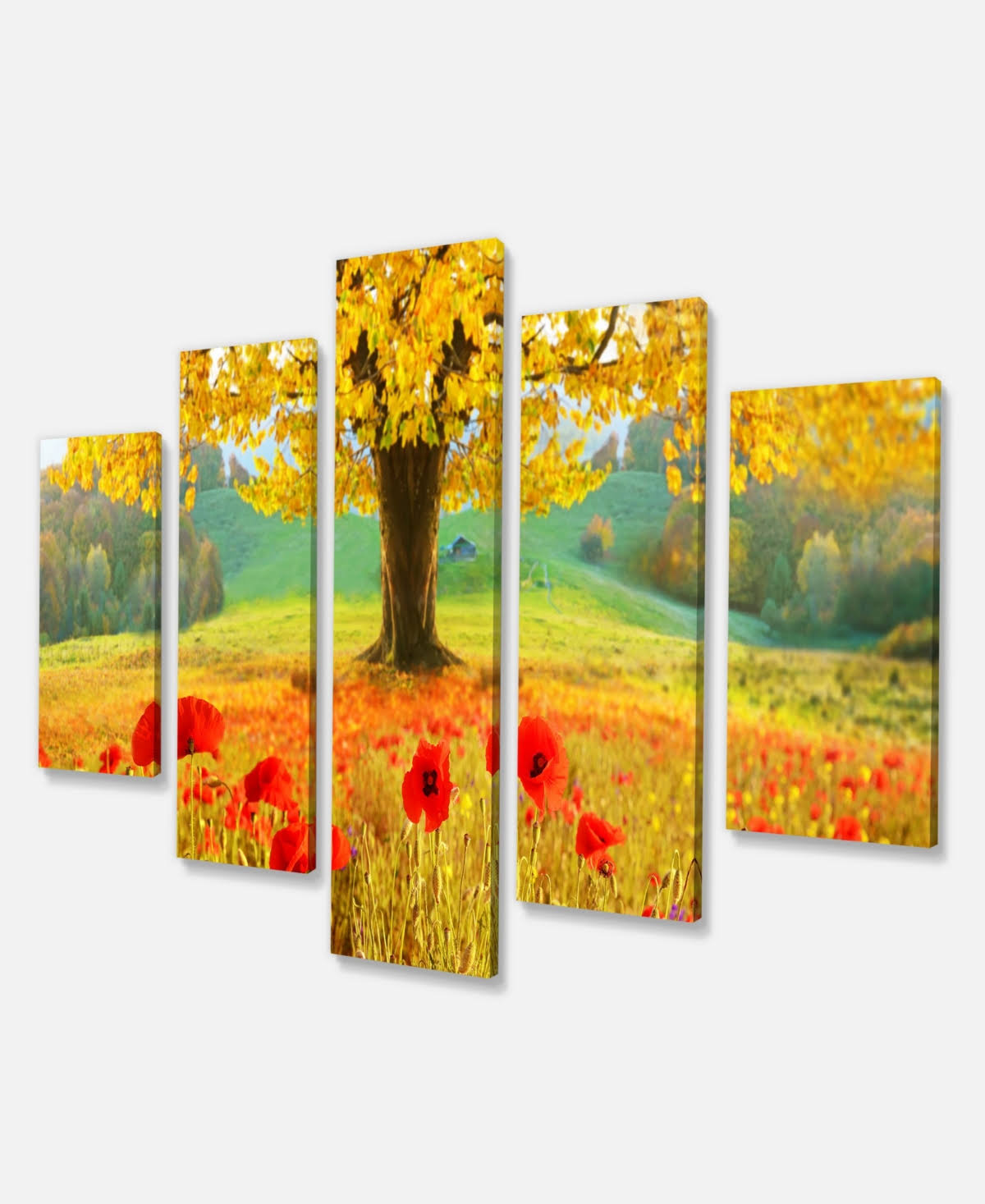 Modern Floral Canvas Art - 60x32 5 Panels T304
