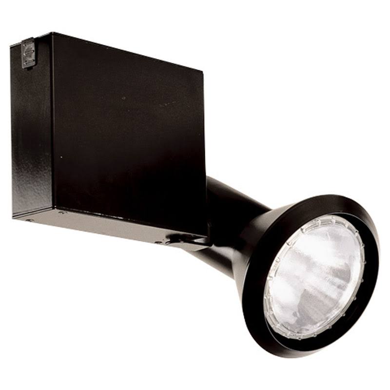 Black Line Voltage Metal Halide PAR30 Fixture F95477