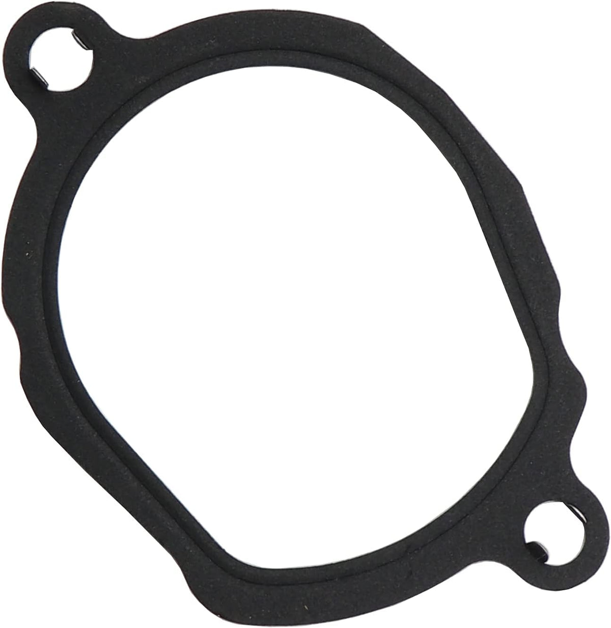 Thermostat with Housing M85103