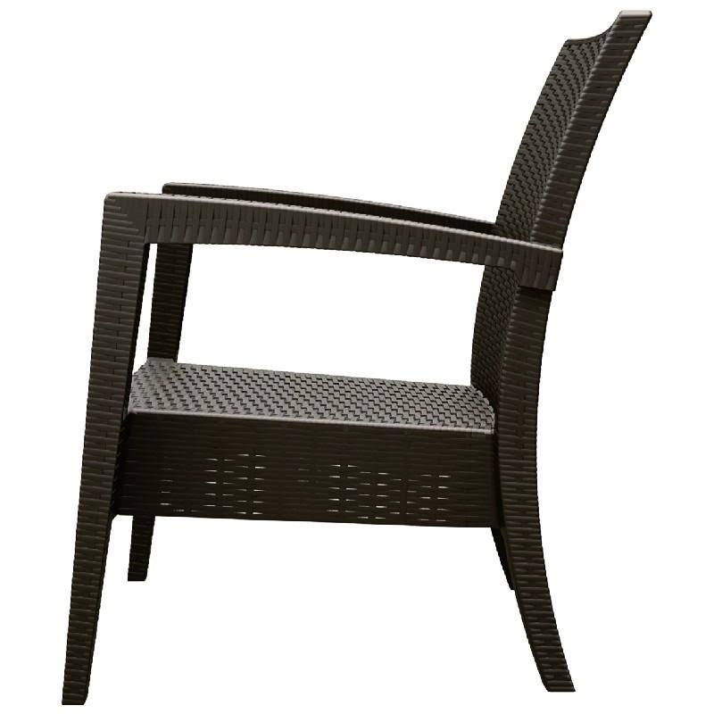 Brown Resin Club Chair Set of 2 M78102