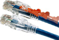 100 ft. Lockable Cat6 Patch Cord, Blue I4378