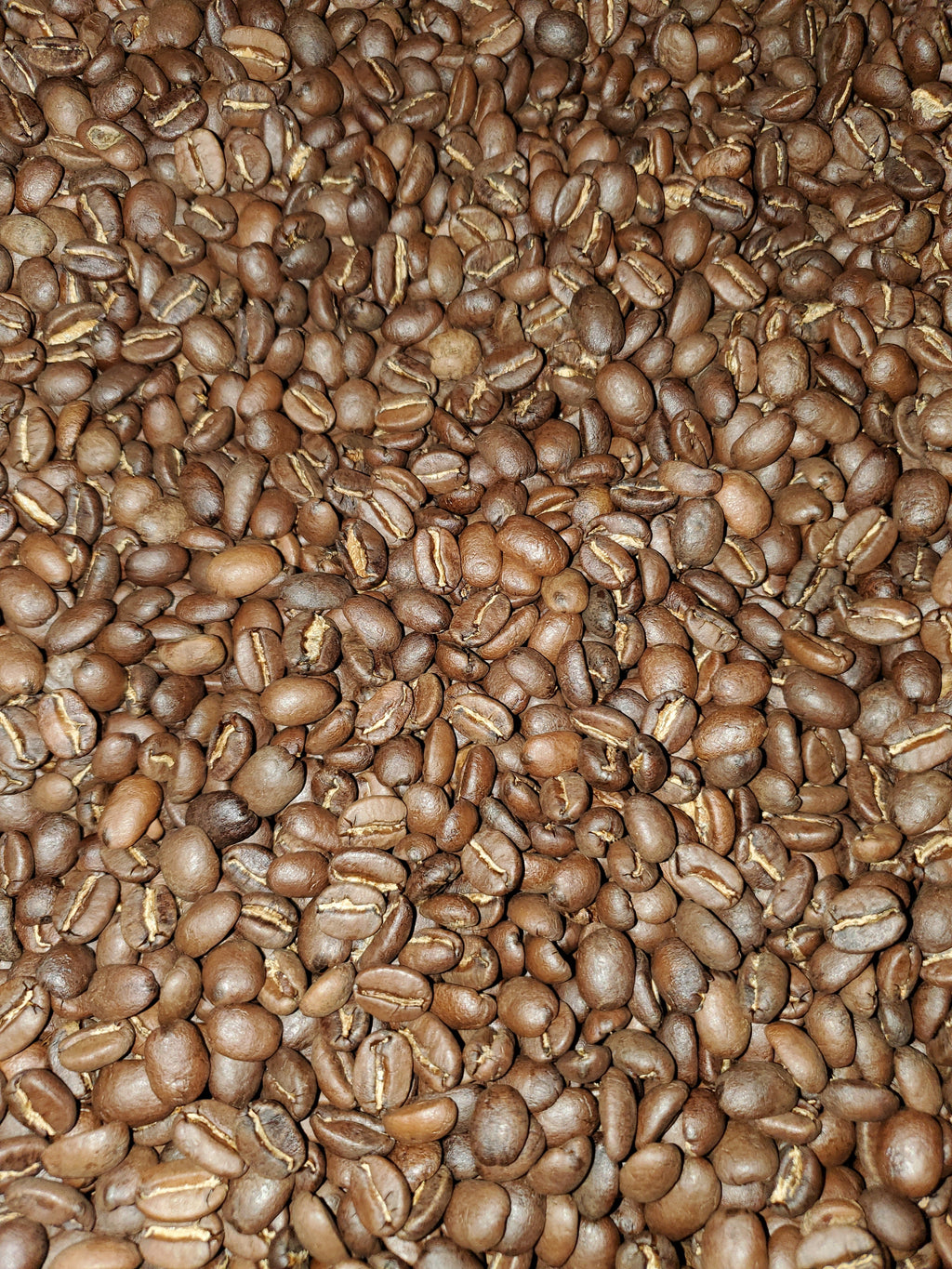 Medium Roast Guatemalan SHB San Marcos Coffee V7514