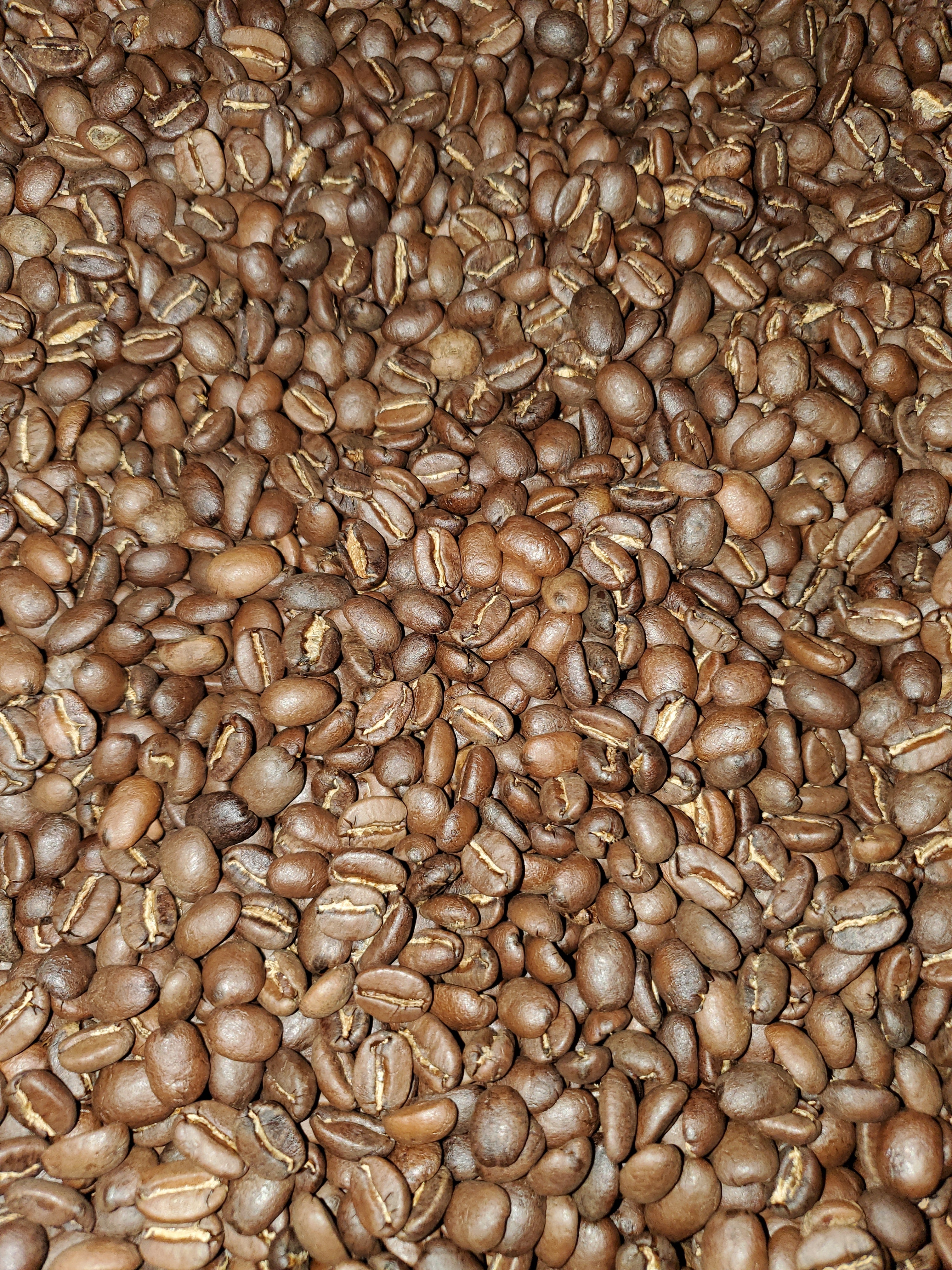 Medium Roast Guatemalan SHB San Marcos Coffee V7514