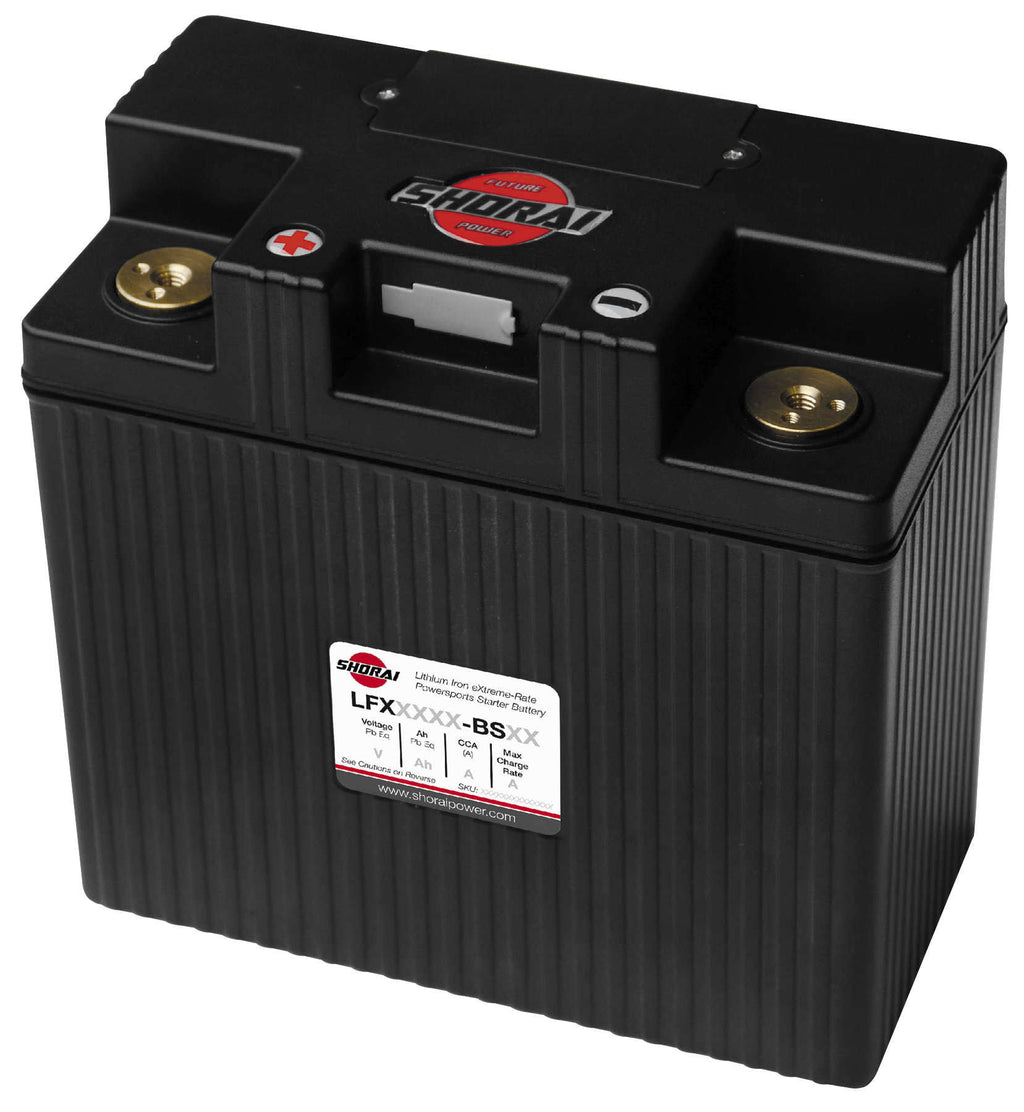 LFX Lithium Battery H6286
