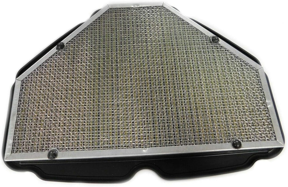 Air Cleaner Element Pack of 2 O579