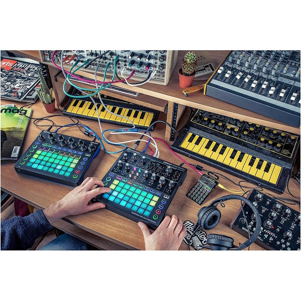 Paraphonic Analog Synthesizer A882133