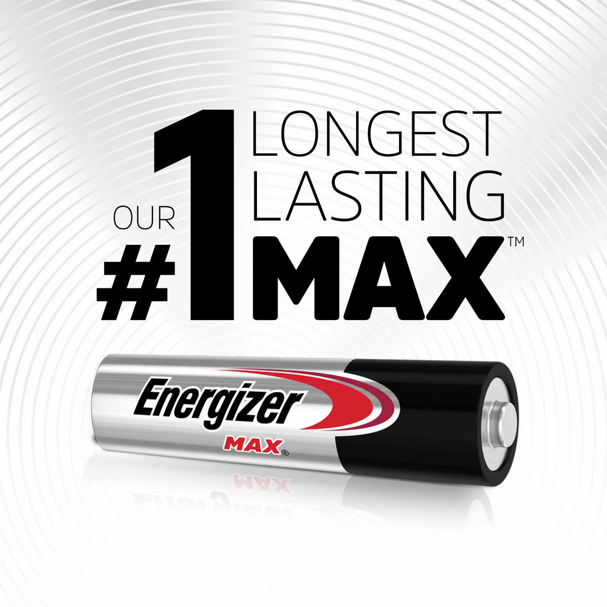 AAA Alkaline Batteries (8 Pack) L605254