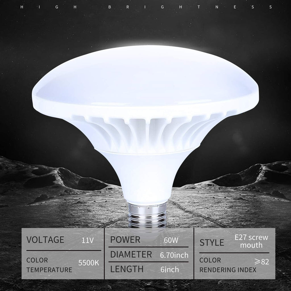 Softbox Lighting Kit 20x28'' Continuous Lighting with 2pcs 5500K Bulb K6919