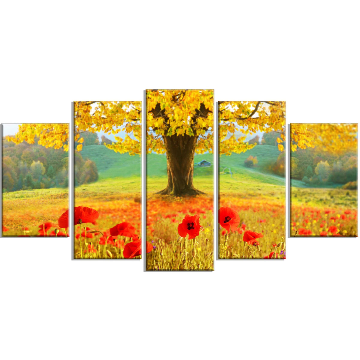 Modern Floral Canvas Art - 60x32 5 Panels T304