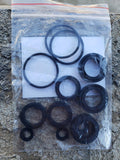 Seal Kit for 4DNX Pumps, Pack of 2 Y6944